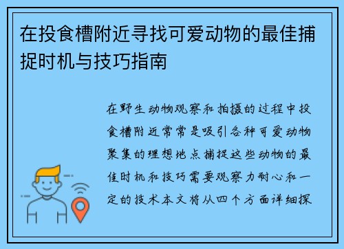 在投食槽附近寻找可爱动物的最佳捕捉时机与技巧指南